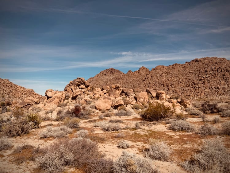The radicalizing power of singing and dancing