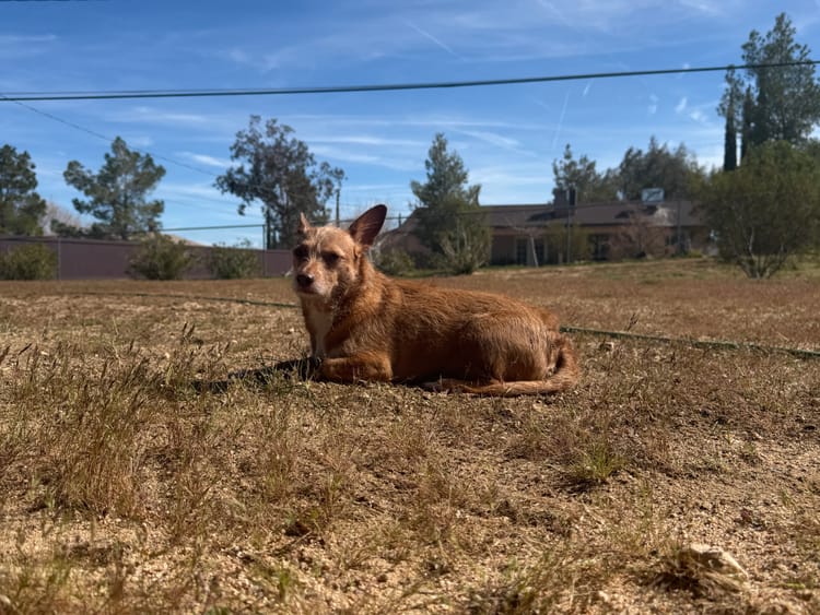 More of This, Please x March 2026